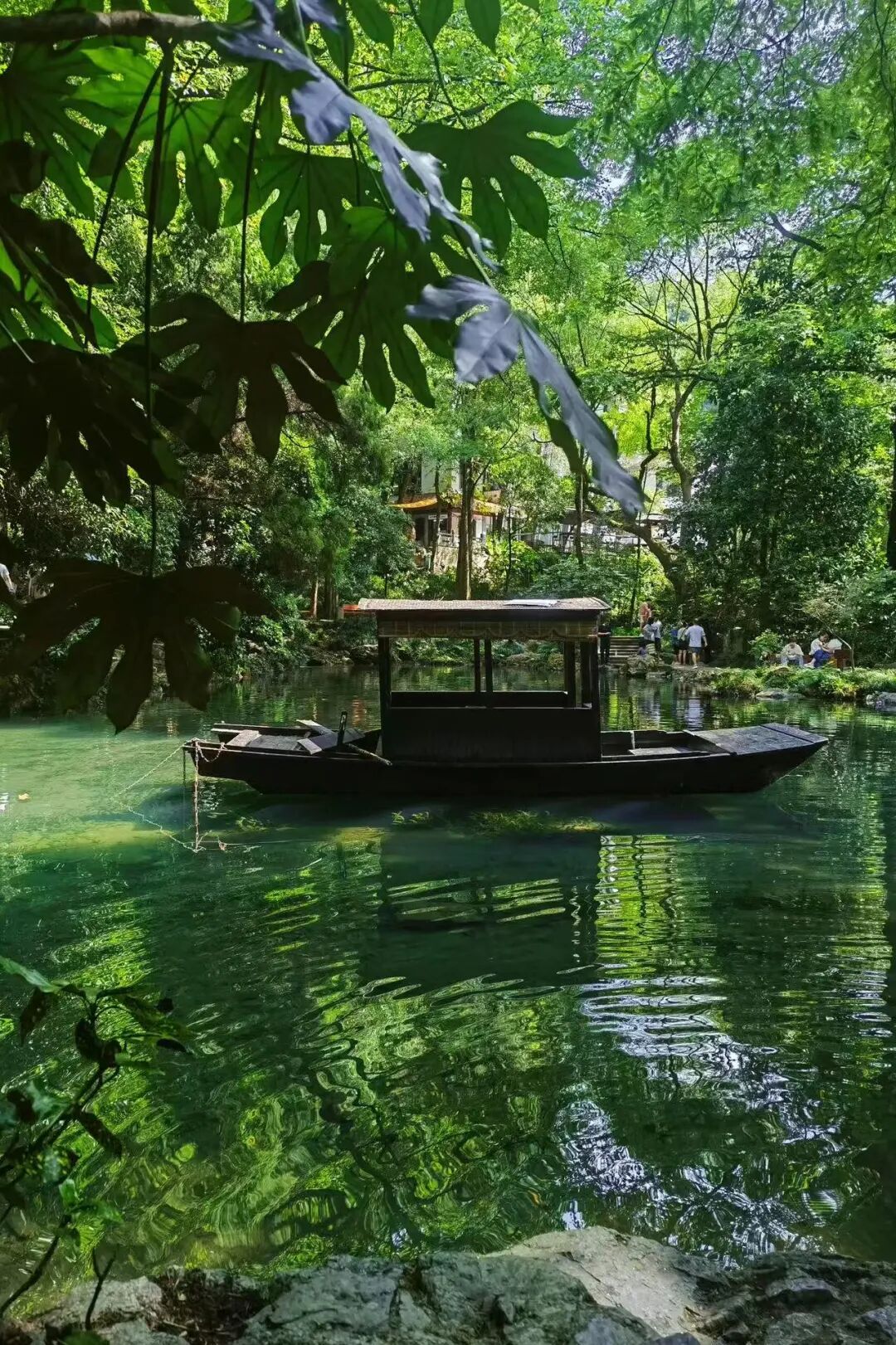 挖到“江南第一早茶地”，私藏24℃的山水秘境，古村野过松阳，小吃多达300+种！