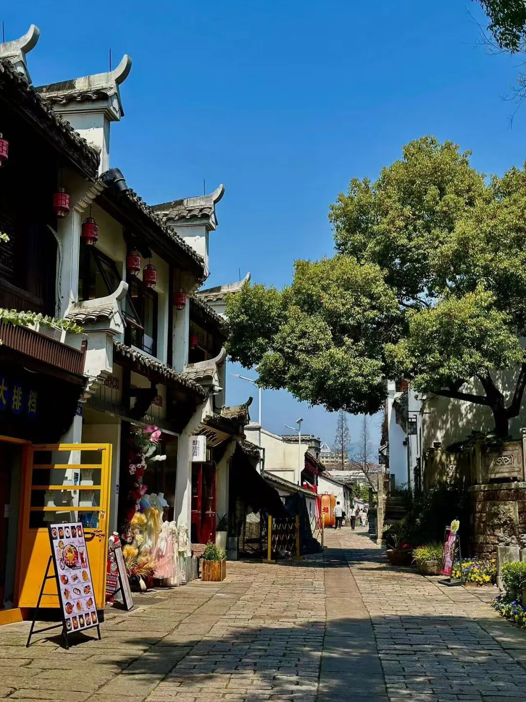 挖到“江南第一早茶地”，私藏24℃的山水秘境，古村野过松阳，小吃多达300+种！