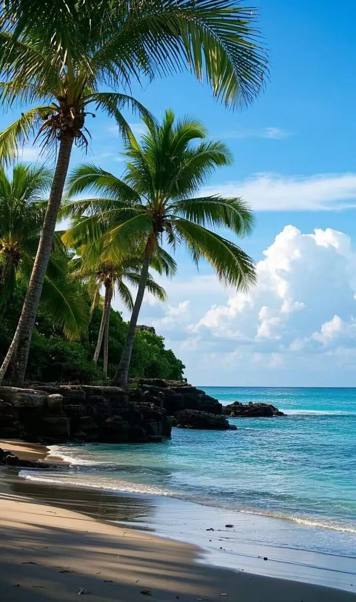 国内唯一可观鲸的海滨慢城，比三亚人少便宜，路的尽头就是海，超适合度假！