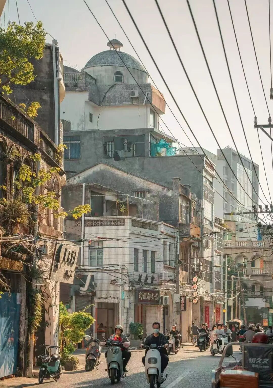 国内唯一可观鲸的海滨慢城，比三亚人少便宜，路的尽头就是海，超适合度假！