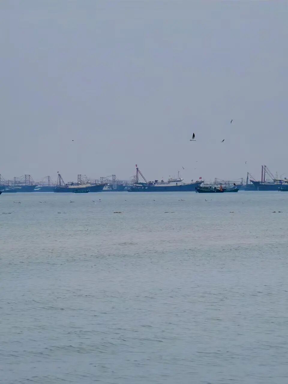 国内唯一可观鲸的海滨慢城，比三亚人少便宜，路的尽头就是海，超适合度假！