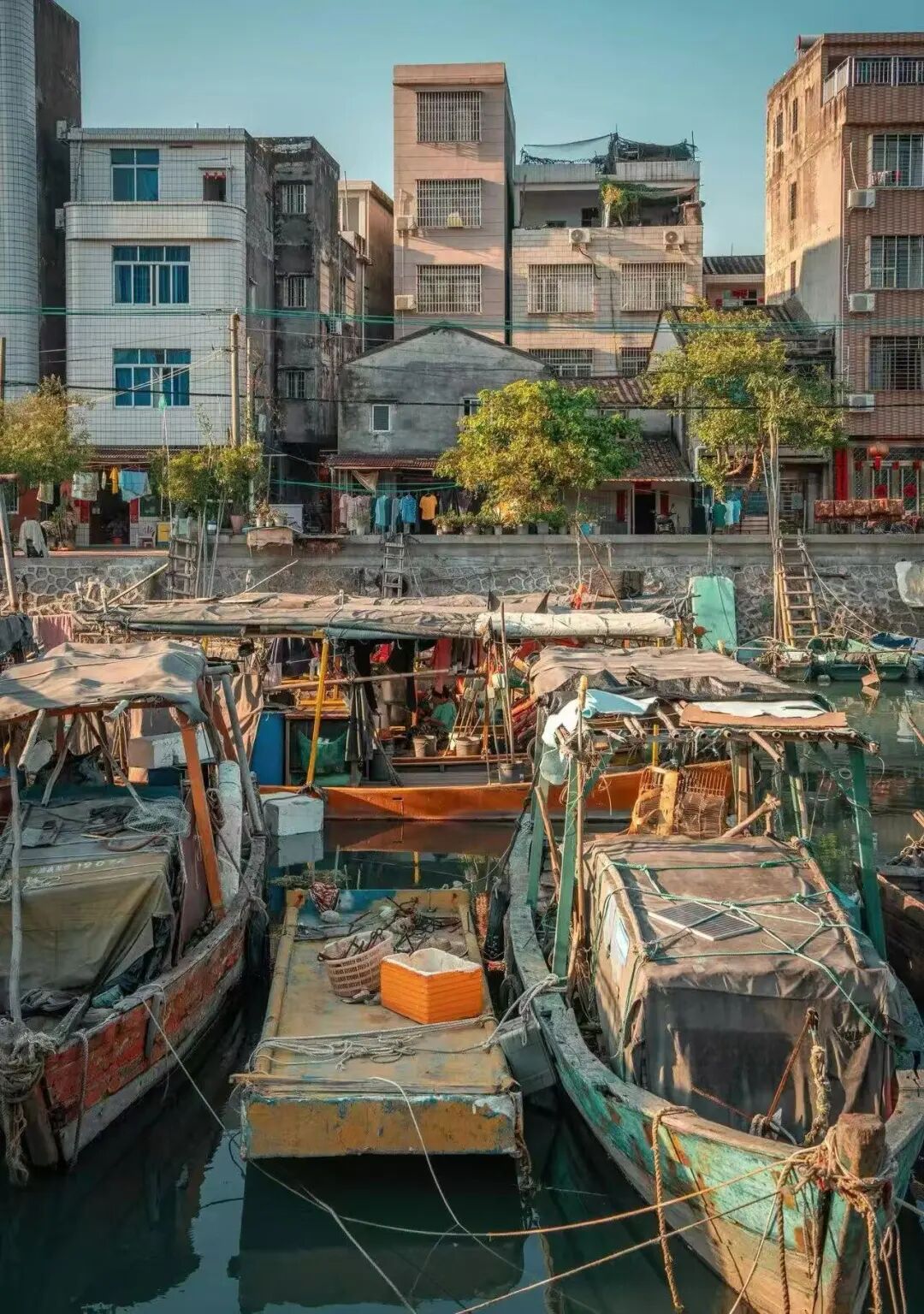 国内唯一可观鲸的海滨慢城，比三亚人少便宜，路的尽头就是海，超适合度假！