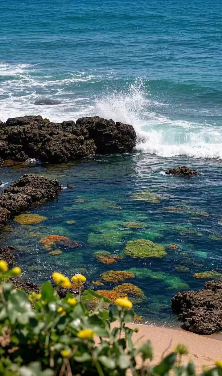 国内唯一可观鲸的海滨慢城，比三亚人少便宜，路的尽头就是海，超适合度假！