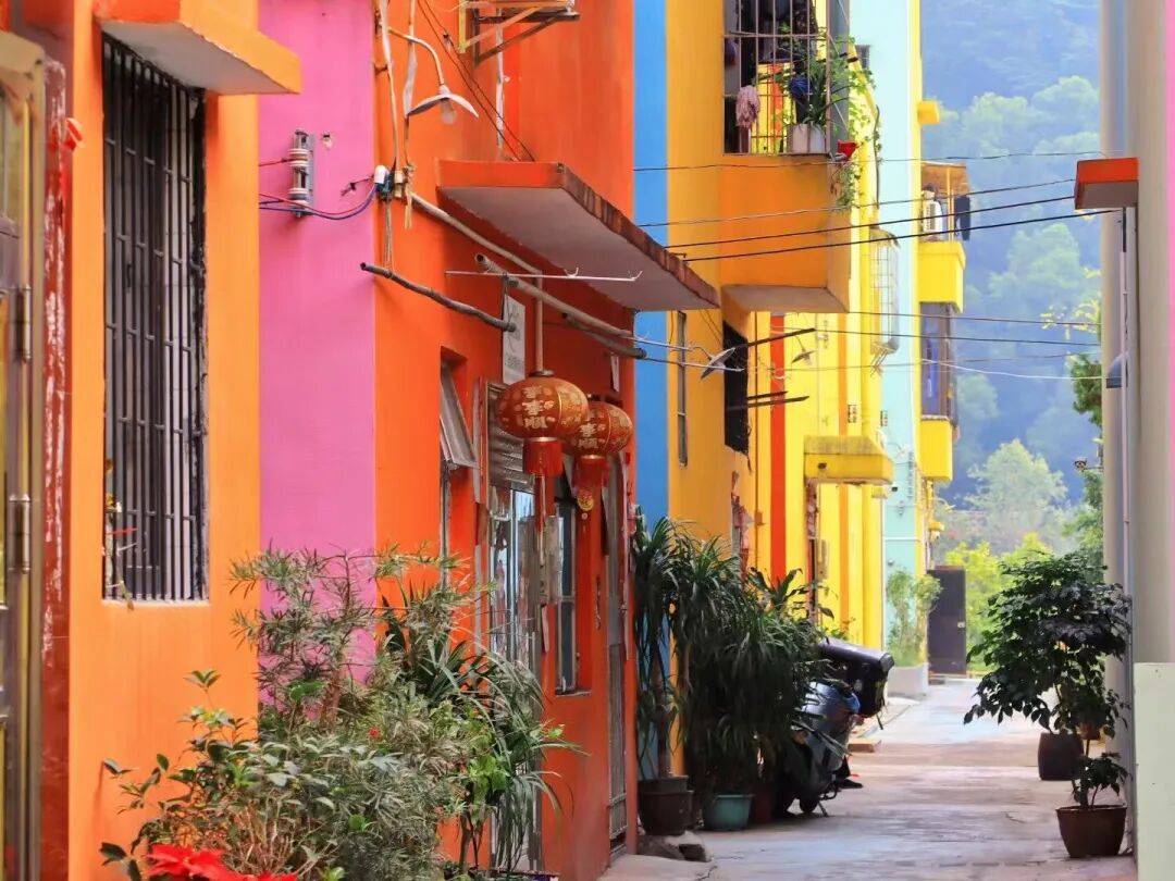 7元吃鲍鱼，10元嗦粉，比厦门清新，比广州好吃，这座小城10月去刚刚好！