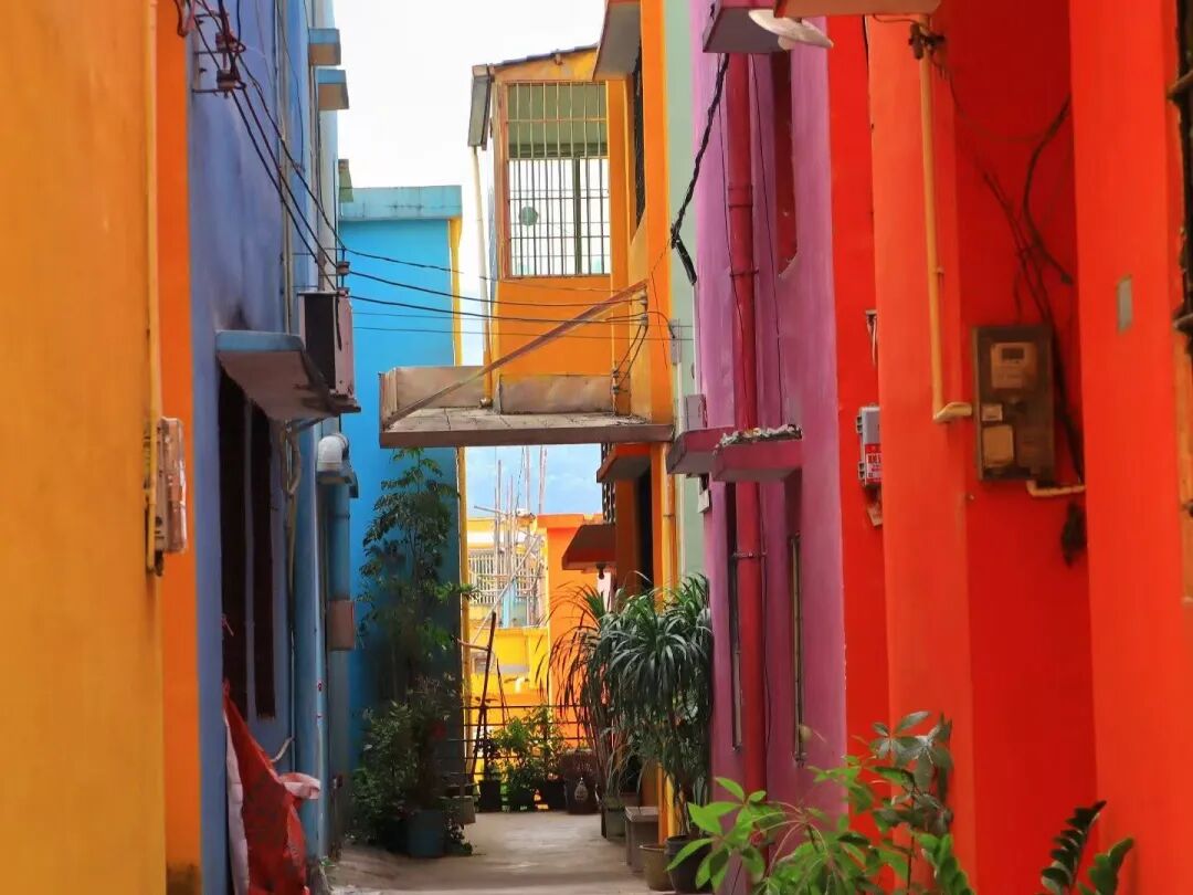 7元吃鲍鱼，10元嗦粉，比厦门清新，比广州好吃，这座小城10月去刚刚好！