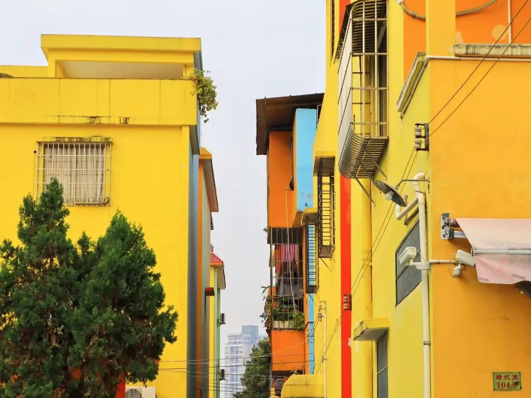 7元吃鲍鱼，10元嗦粉，比厦门清新，比广州好吃，这座小城10月去刚刚好！