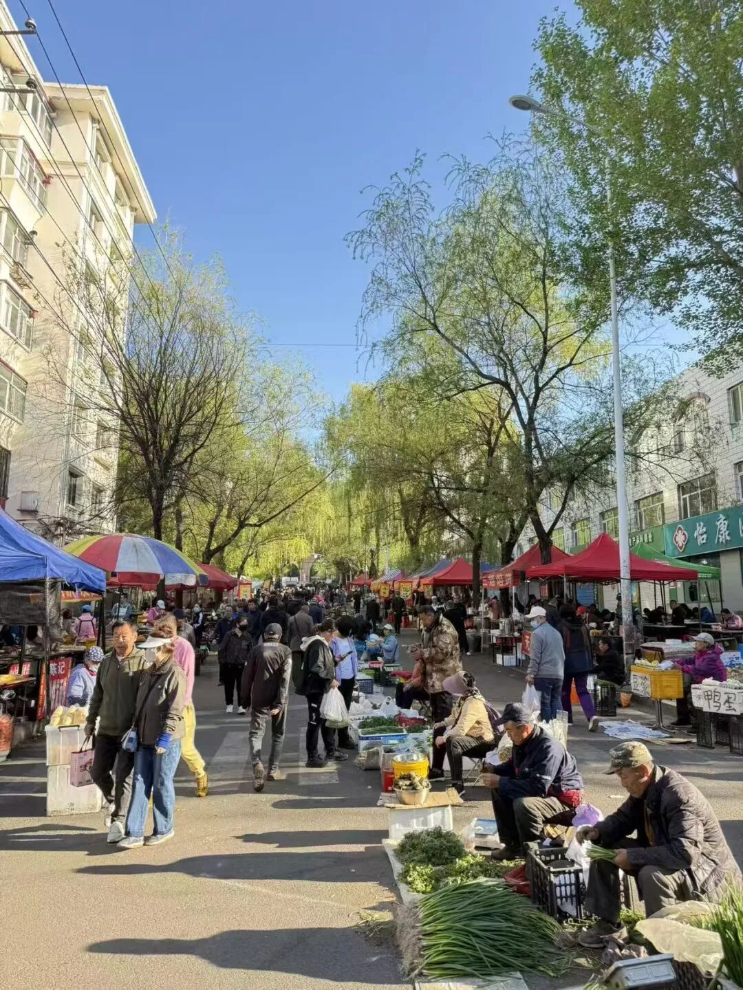 3w买套房，8w住别墅，中国最便宜的城市，烧烤比淄博好吃，物价停在10年前