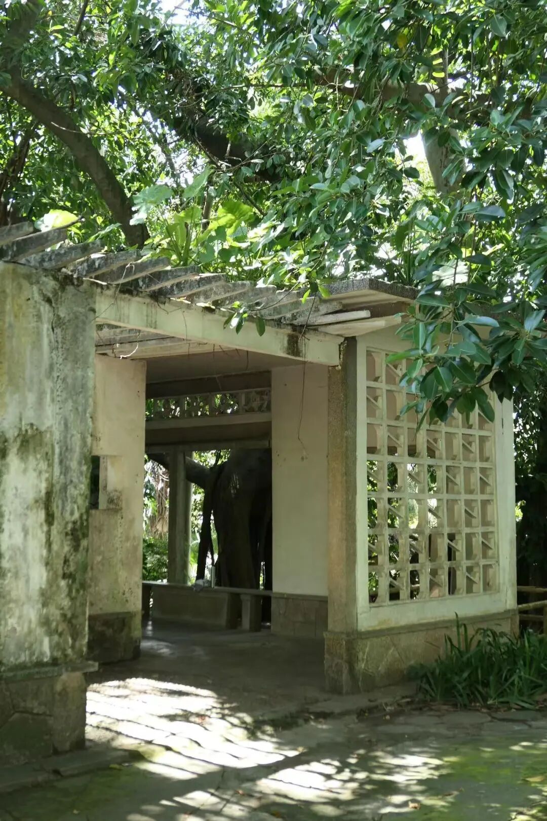 新年游客最少的城市！悠闲不输广东，好吃不输香港，重点便宜哭了...30+吃撑！