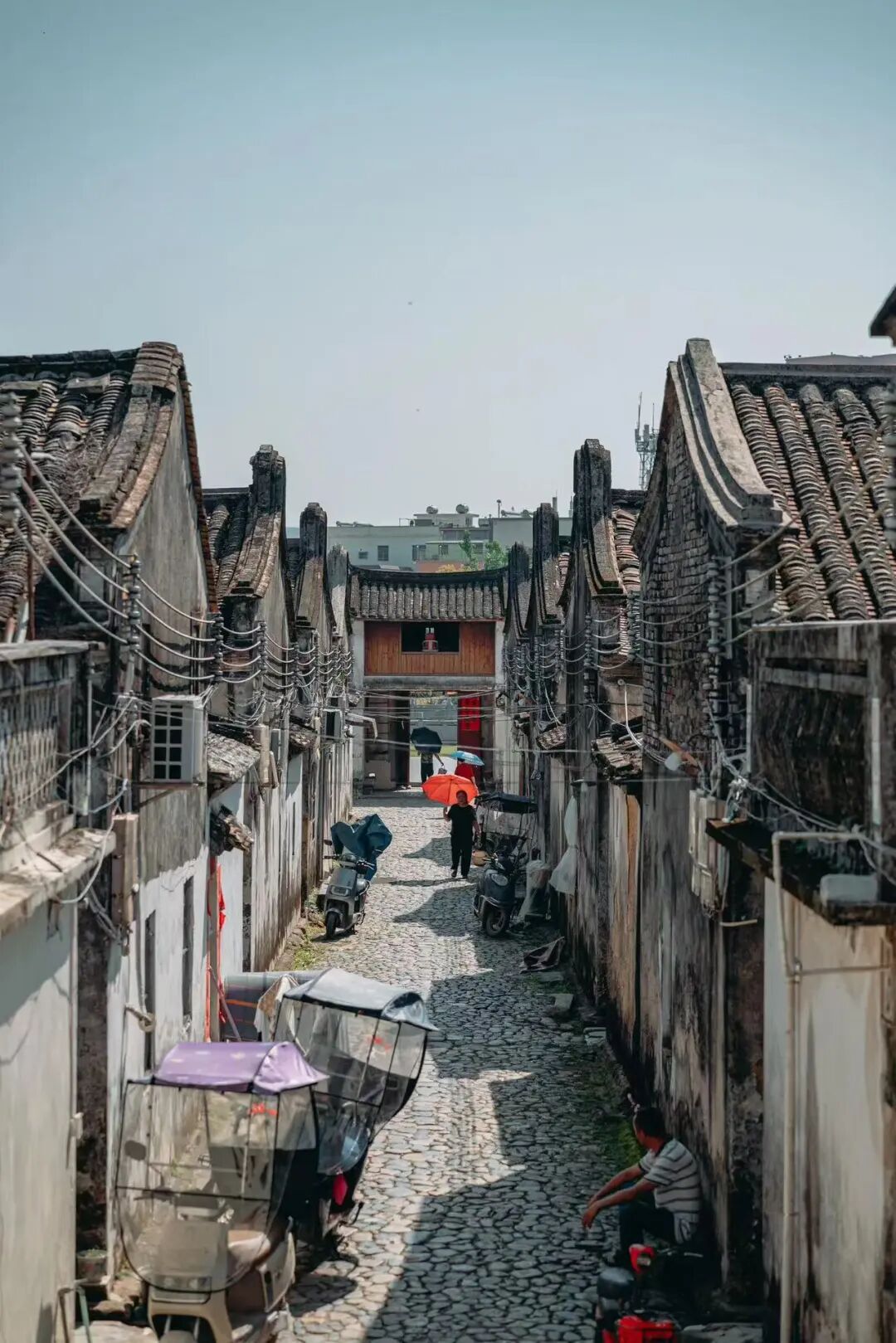 国内最具生活感的海滨老城，秋季看海不输威海，人均10块吃一顿，冷门又好逛