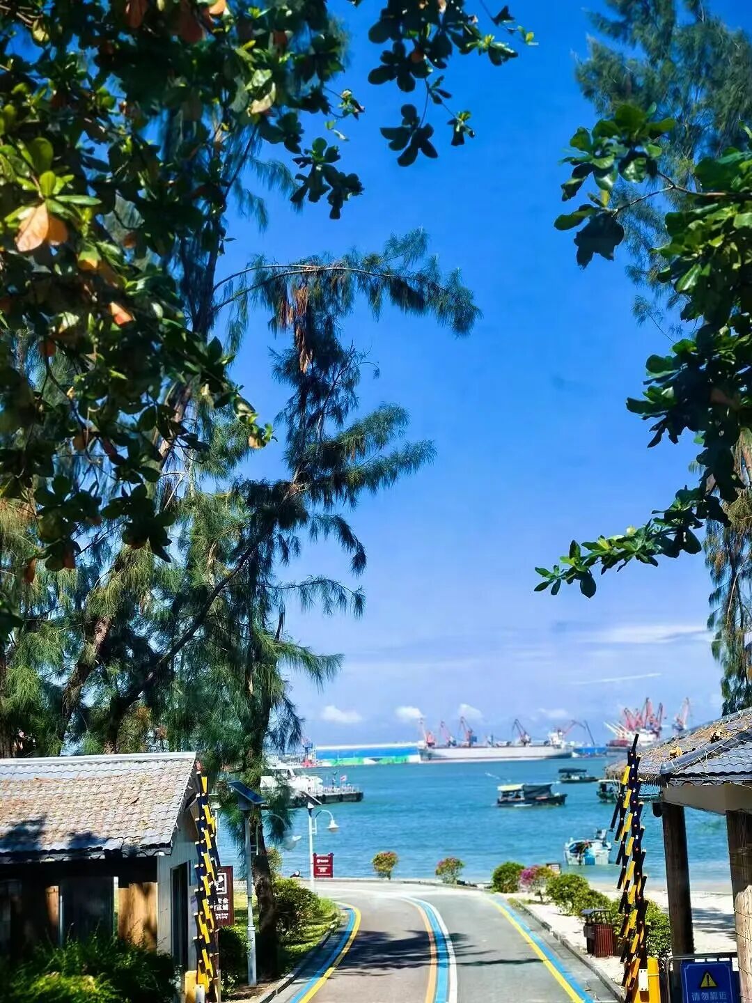 挖到最好吃小城，比顺德，潮汕还生猛，吃一周胖了8斤！还有超好玩海岛，来这里玩太爽了吧