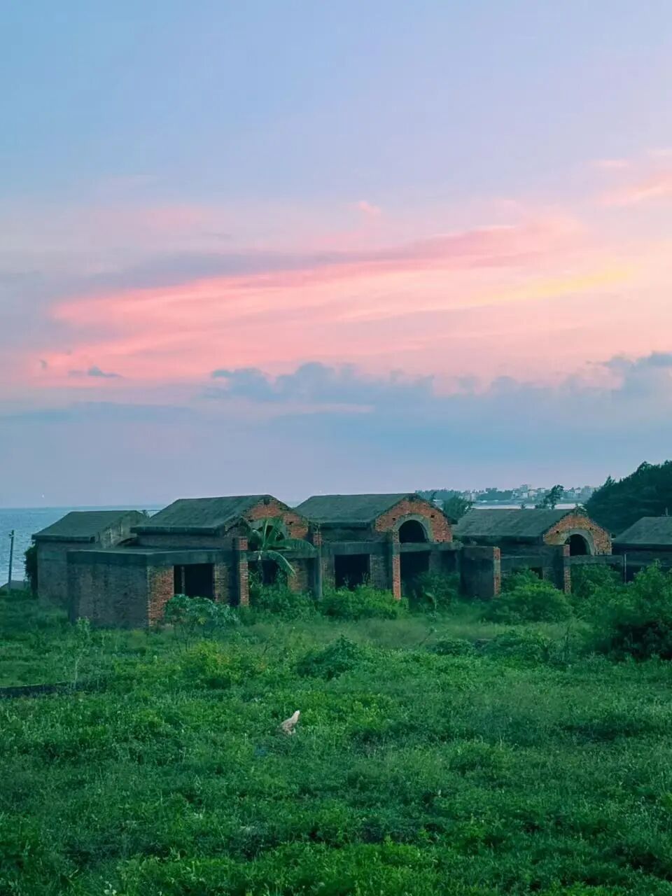 挖到最好吃小城，比顺德，潮汕还生猛，吃一周胖了8斤！还有超好玩海岛，来这里玩太爽了吧