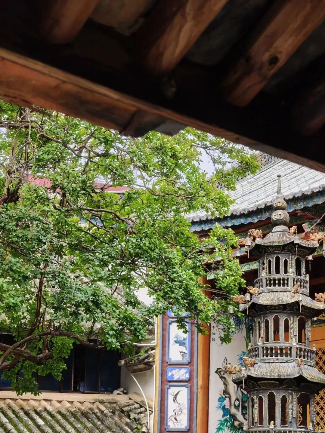 比昆明宜居，游客不及大理一半，来这座“适合发呆”的小城，3元茶水免费续，10元咖啡喝到爽，洗掉一身班味