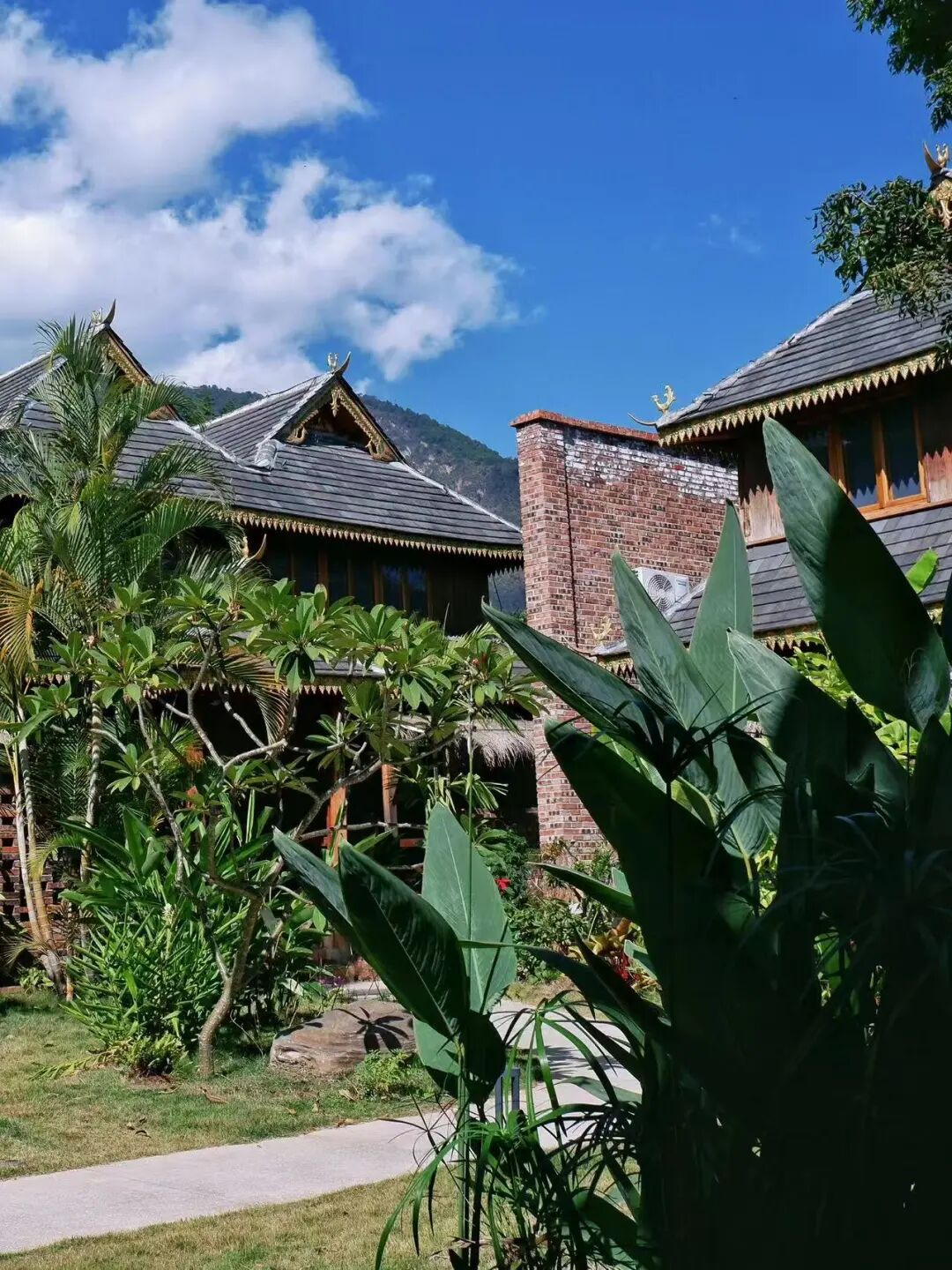 比昆明宜居，游客不及大理一半，来这座“适合发呆”的小城，3元茶水免费续，10元咖啡喝到爽，洗掉一身班味