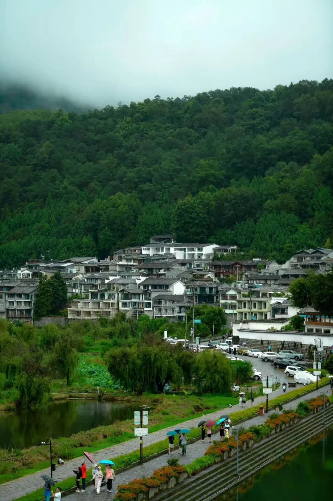 比昆明宜居，游客不及大理一半，来这座“适合发呆”的小城，3元茶水免费续，10元咖啡喝到爽，洗掉一身班味