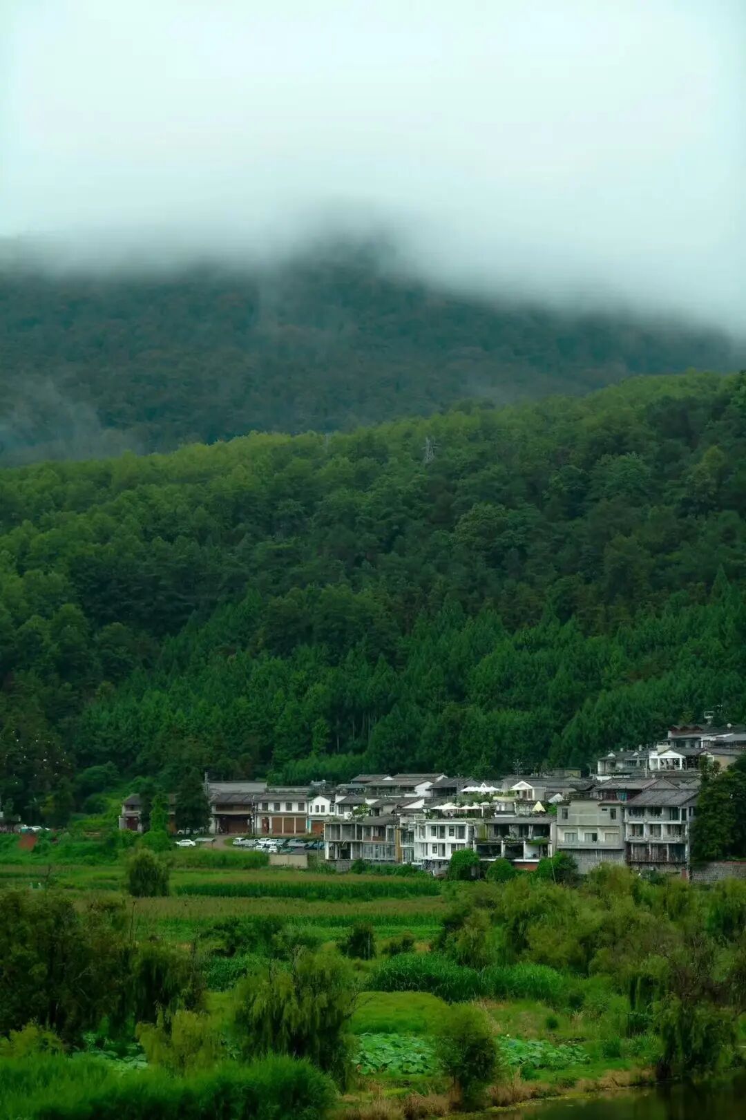 比昆明宜居，游客不及大理一半，来这座“适合发呆”的小城，3元茶水免费续，10元咖啡喝到爽，洗掉一身班味