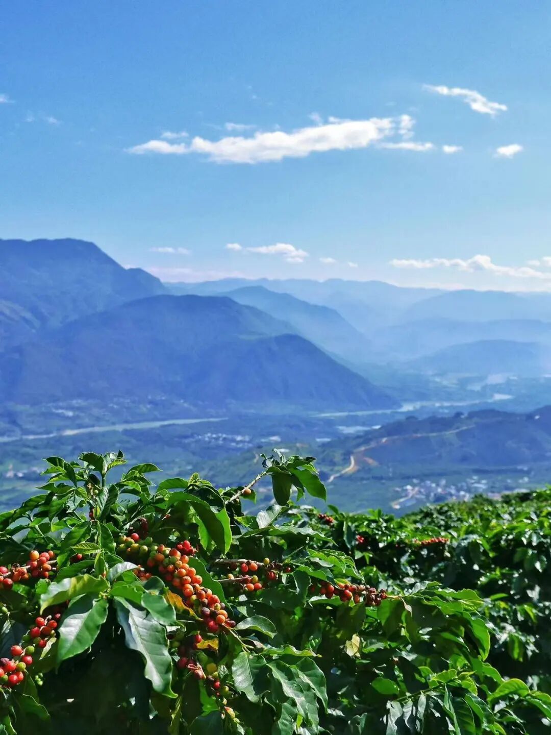 比昆明宜居，游客不及大理一半，来这座“适合发呆”的小城，3元茶水免费续，10元咖啡喝到爽，洗掉一身班味