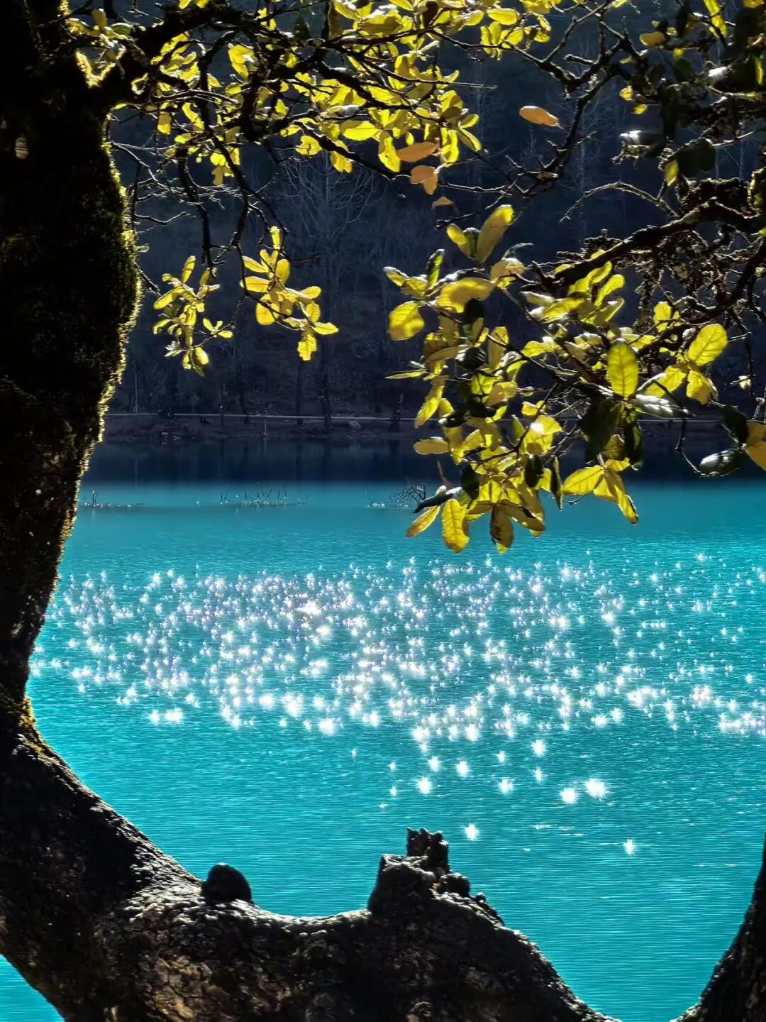 比阳朔更松弛，比腾冲更丰富！这个被《国家地理》称为“中国最美江湖”的地方，真的不一样！