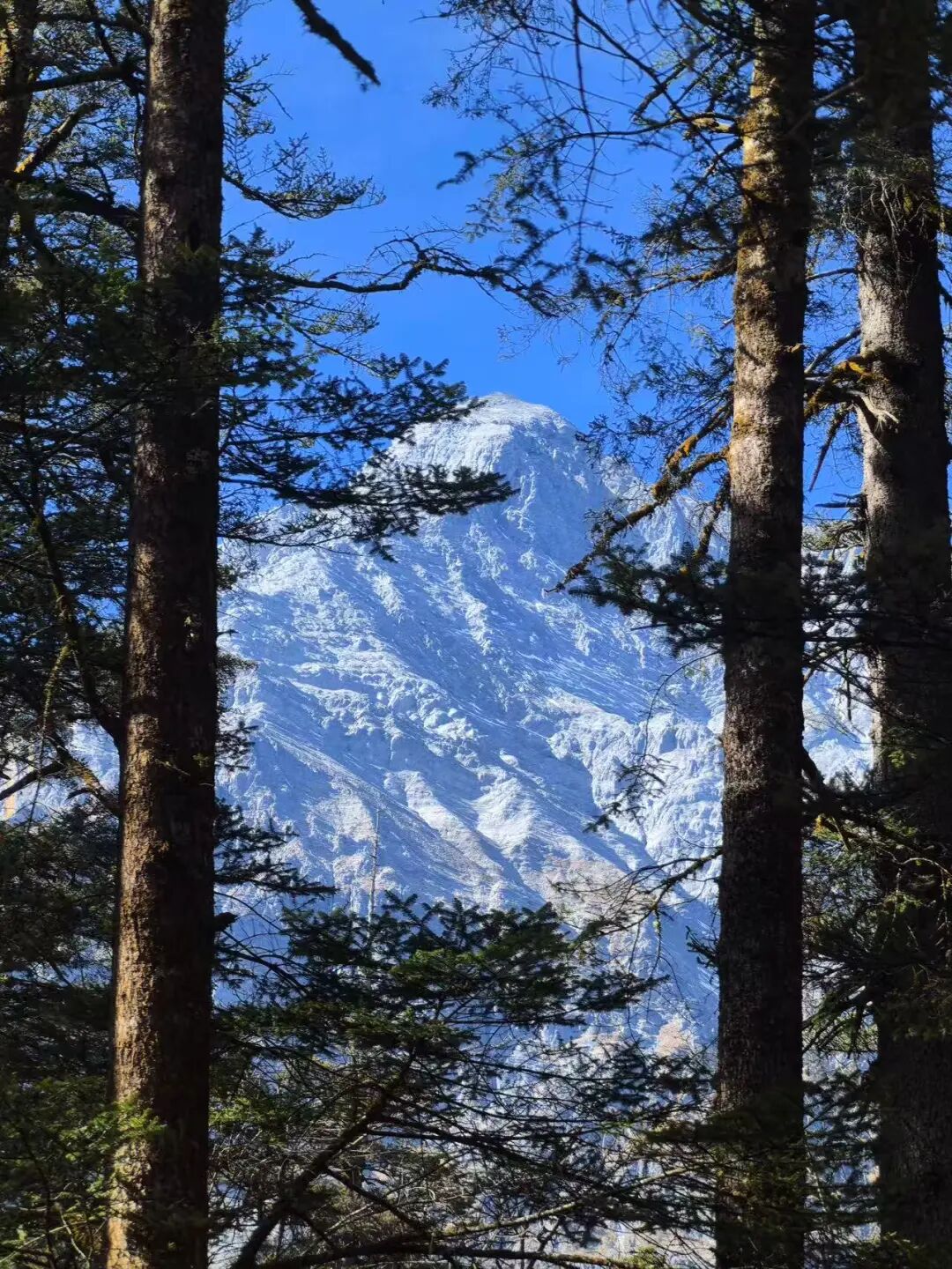 比阳朔更松弛，比腾冲更丰富！这个被《国家地理》称为“中国最美江湖”的地方，真的不一样！