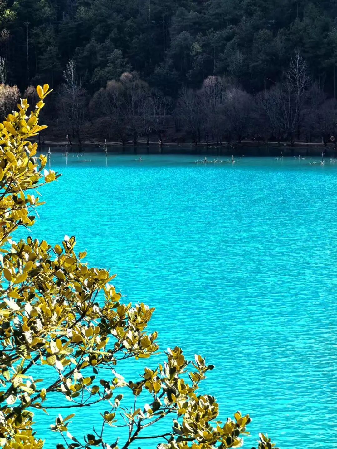 比阳朔更松弛，比腾冲更丰富！这个被《国家地理》称为“中国最美江湖”的地方，真的不一样！