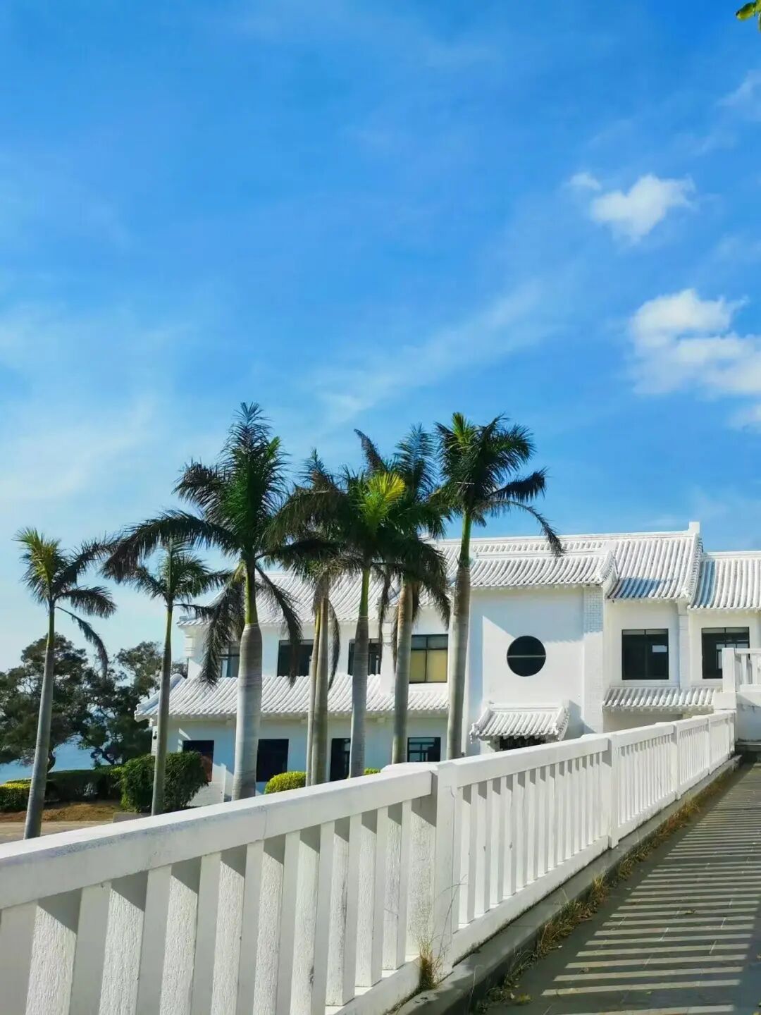 高铁直达，中国不宰游客的小众城市，游客几乎零差评！节假日反向游玩太爽了！