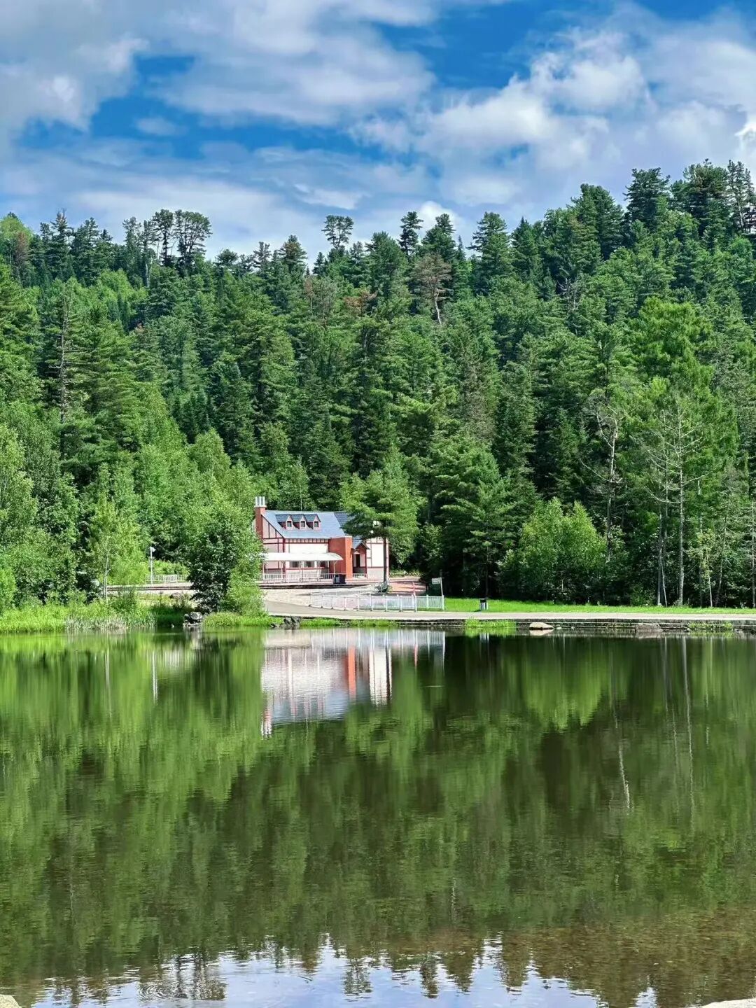 物价低人还少！挖到最低调的避暑仙都，夏天才22℃，几乎0游客，森林小鹿美哭！