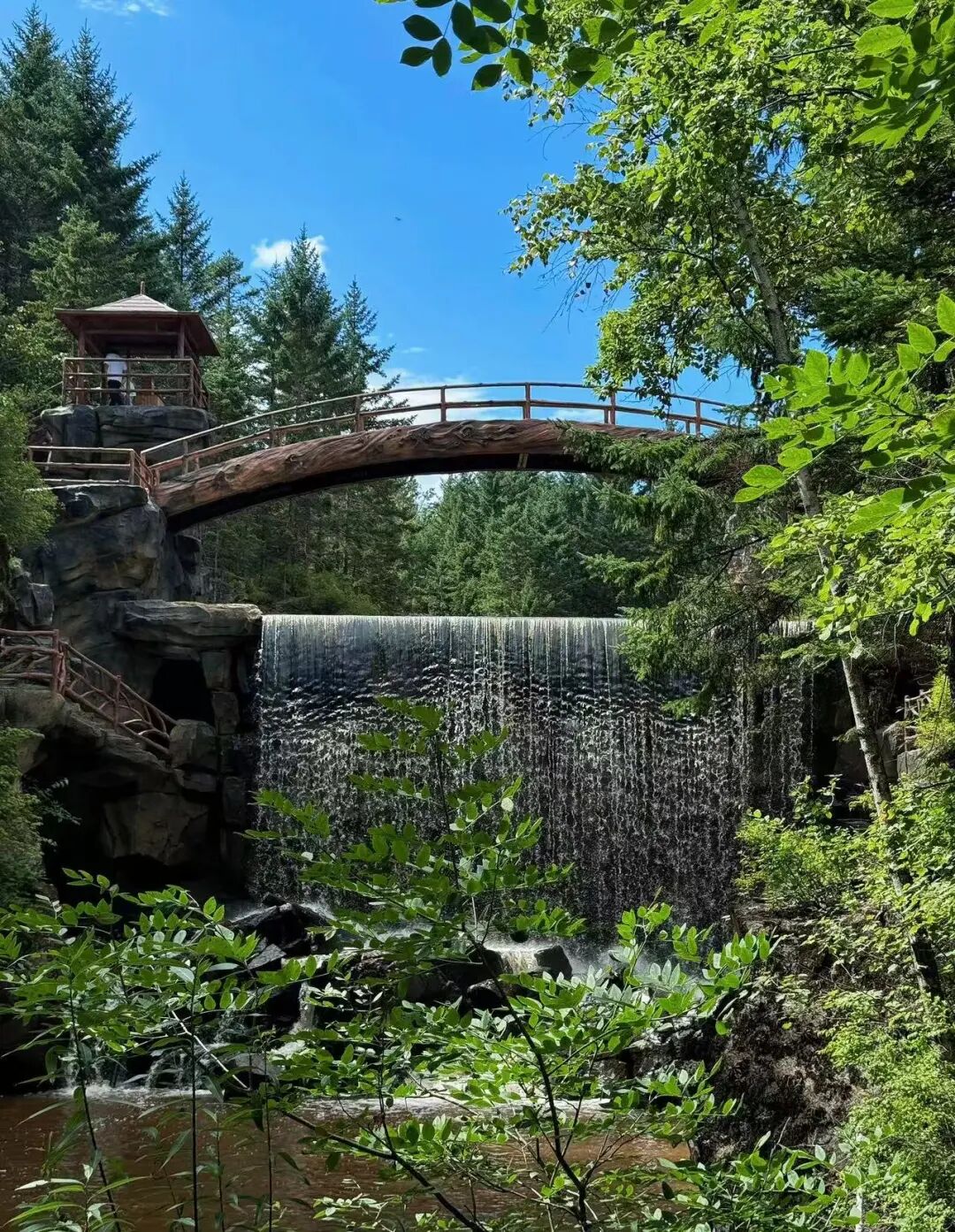 物价低人还少！挖到最低调的避暑仙都，夏天才22℃，几乎0游客，森林小鹿美哭！