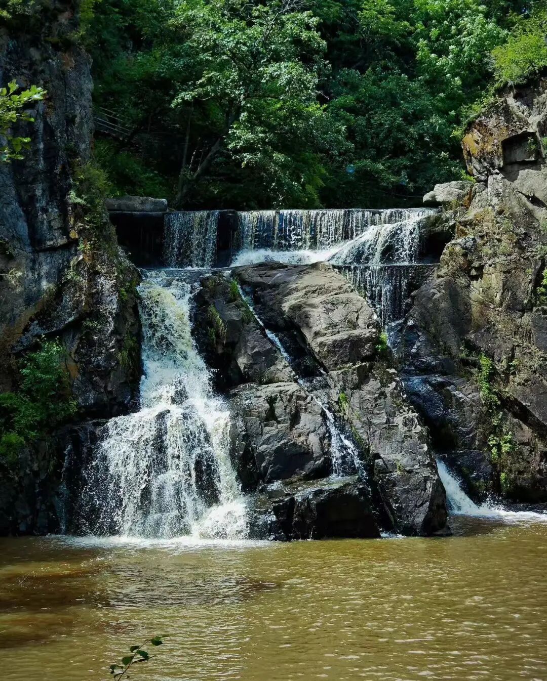 物价低人还少！挖到最低调的避暑仙都，夏天才22℃，几乎0游客，森林小鹿美哭！