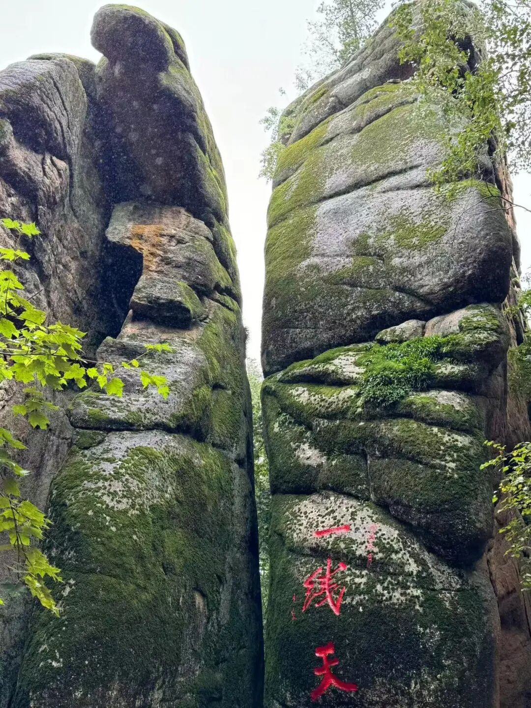 物价低人还少！挖到最低调的避暑仙都，夏天才22℃，几乎0游客，森林小鹿美哭！