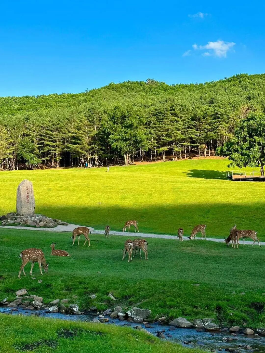 物价低人还少！挖到最低调的避暑仙都，夏天才22℃，几乎0游客，森林小鹿美哭！