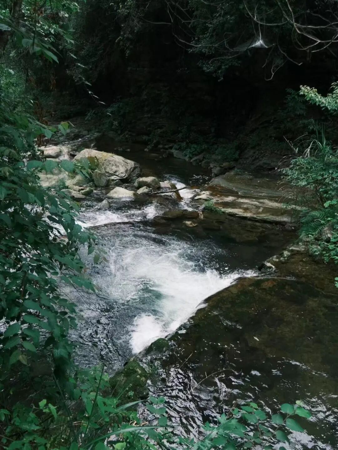 夏天仅23℃，最受中国文艺片青睐的冷门避暑小城，酸辣美食一口入魂