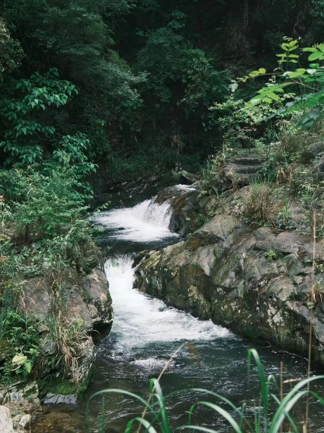 夏天仅23℃，最受中国文艺片青睐的冷门避暑小城，酸辣美食一口入魂
