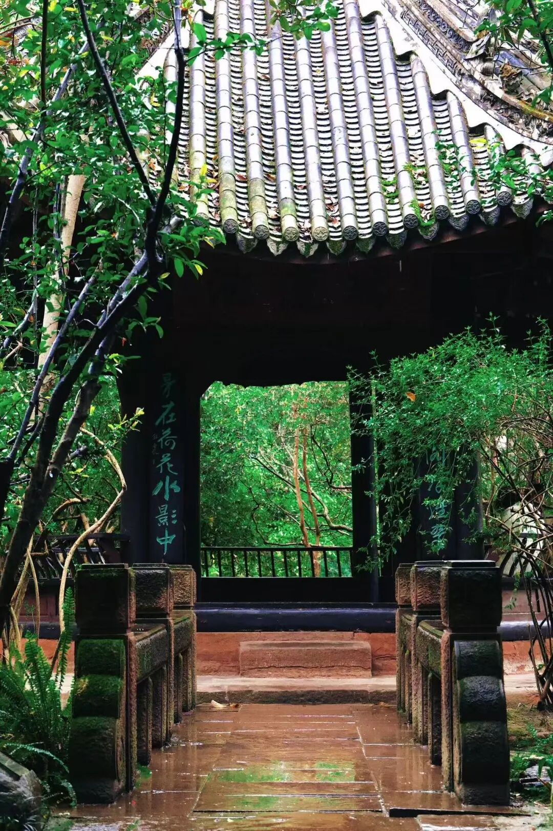 高铁直达！这座巴适老城，美食不输乐山，还是苏东坡的快乐老家，适合周末反向出游！