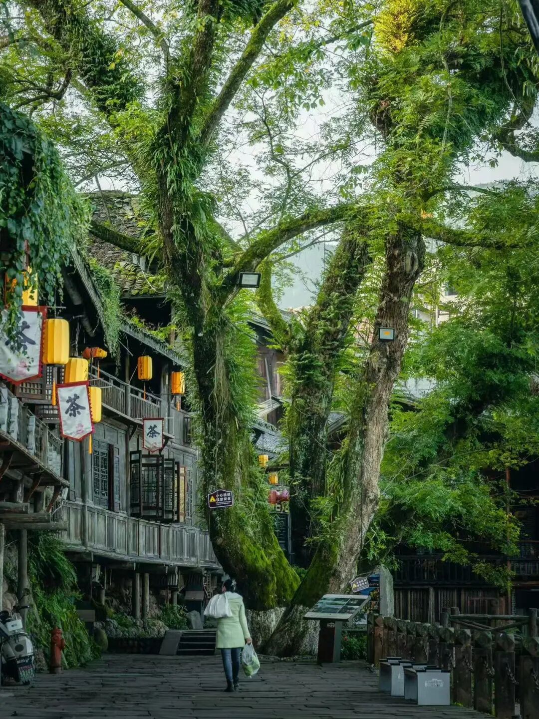 高铁直达！这座巴适老城，美食不输乐山，还是苏东坡的快乐老家，适合周末反向出游！