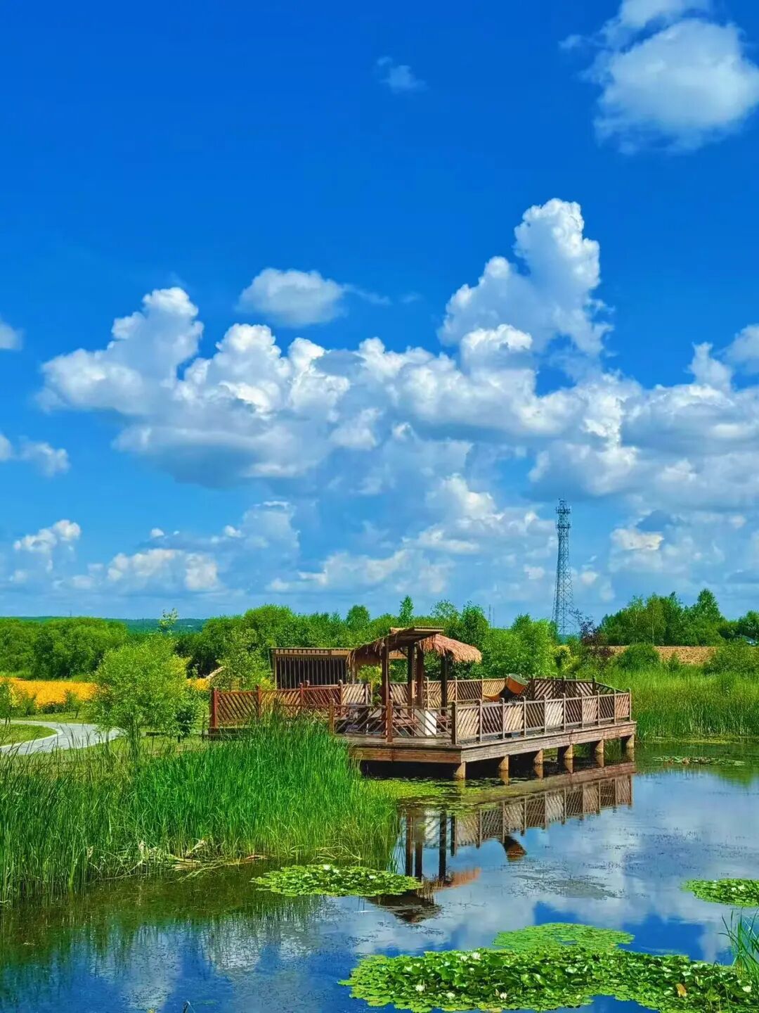 中俄互免签证后，火了的这座老城！满街俄罗斯人，高呼物价太便宜，却冷门到0攻略！