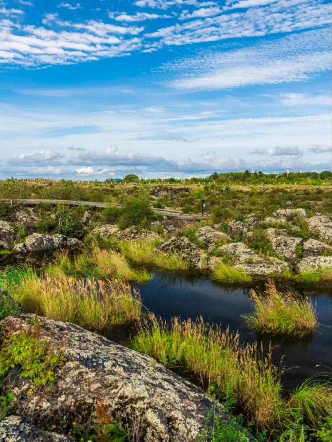 中俄互免签证后，火了的这座老城！满街俄罗斯人，高呼物价太便宜，却冷门到0攻略！
