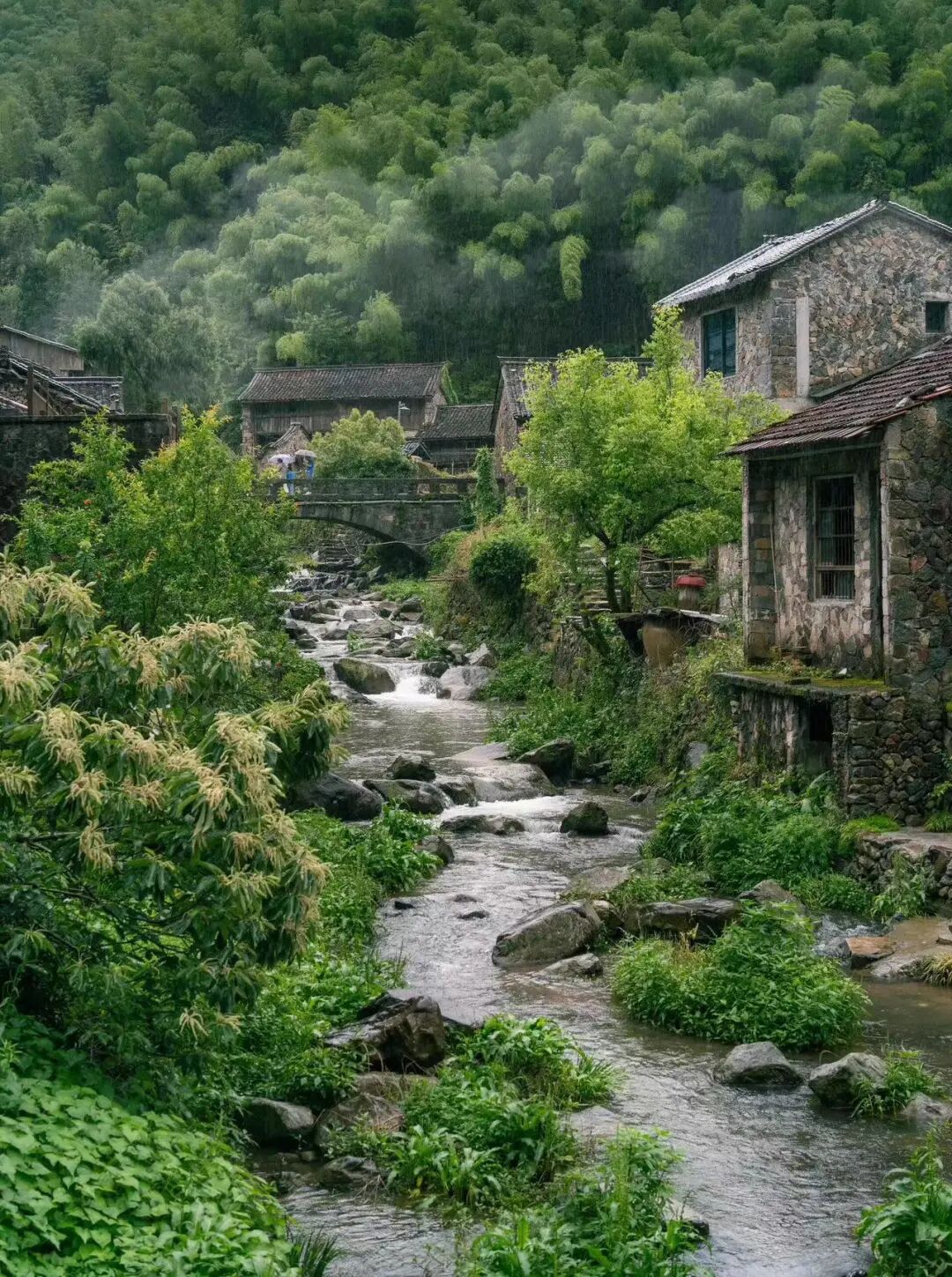 堪称人间仙境，央视多次点名推荐，不费钱不需攻略，倦了就来小住几天