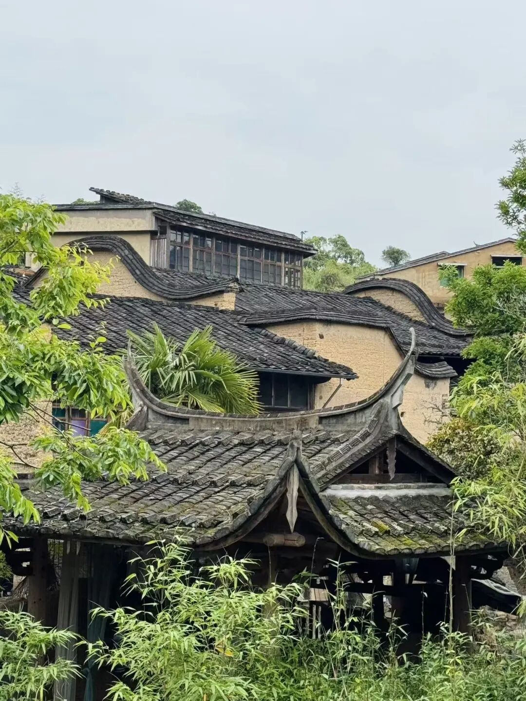 十一反向游的山海小城，人少景美，坐拥中国最美海岸线，人均50+海鲜随心吃