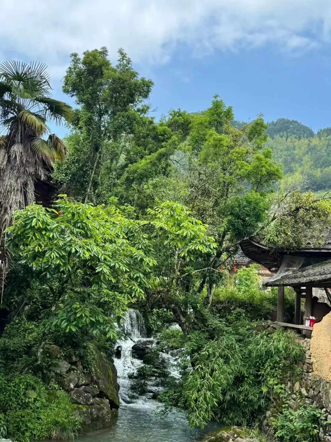 十一反向游的山海小城，人少景美，坐拥中国最美海岸线，人均50+海鲜随心吃