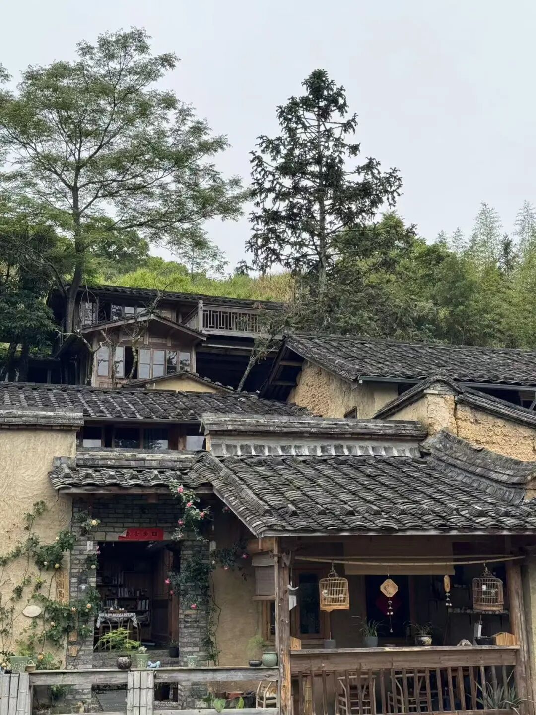 十一反向游的山海小城，人少景美，坐拥中国最美海岸线，人均50+海鲜随心吃