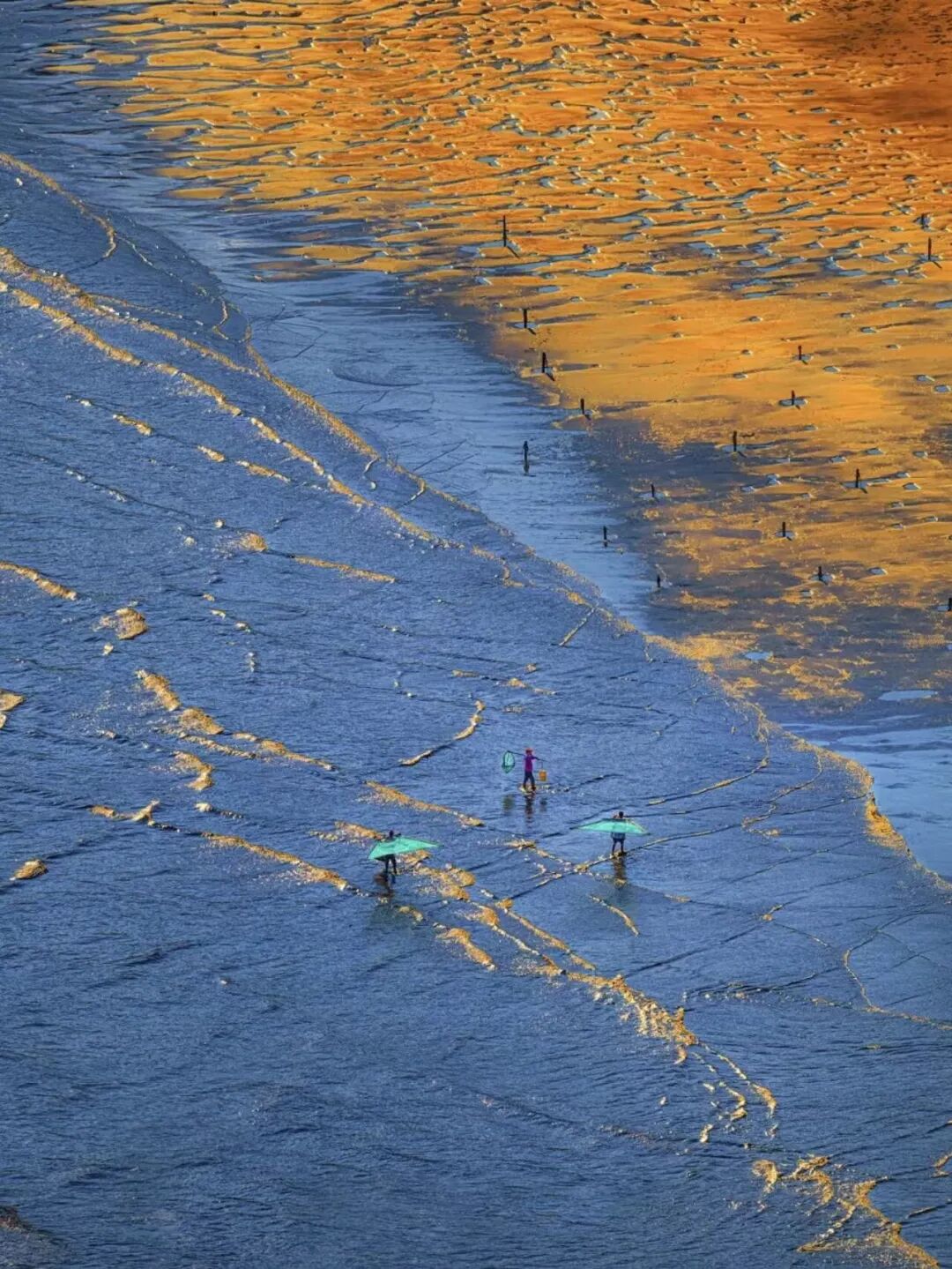 十一反向游的山海小城，人少景美，坐拥中国最美海岸线，人均50+海鲜随心吃