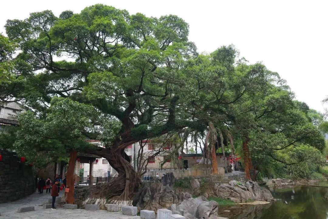 适合小住三五天的绝美古镇，不费钱不需攻略，和当地人一起享受慢生活！