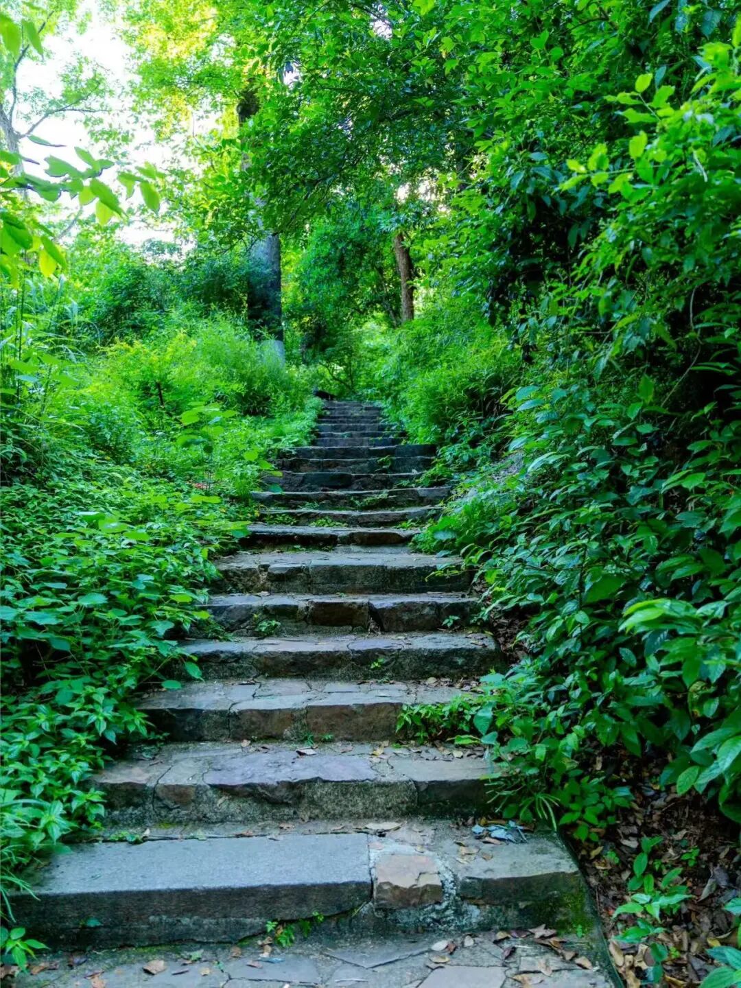 中国最快乐的城市，凌晨不睡觉，狂爱洗脚，房价垫底，工资5000活出50000的快乐