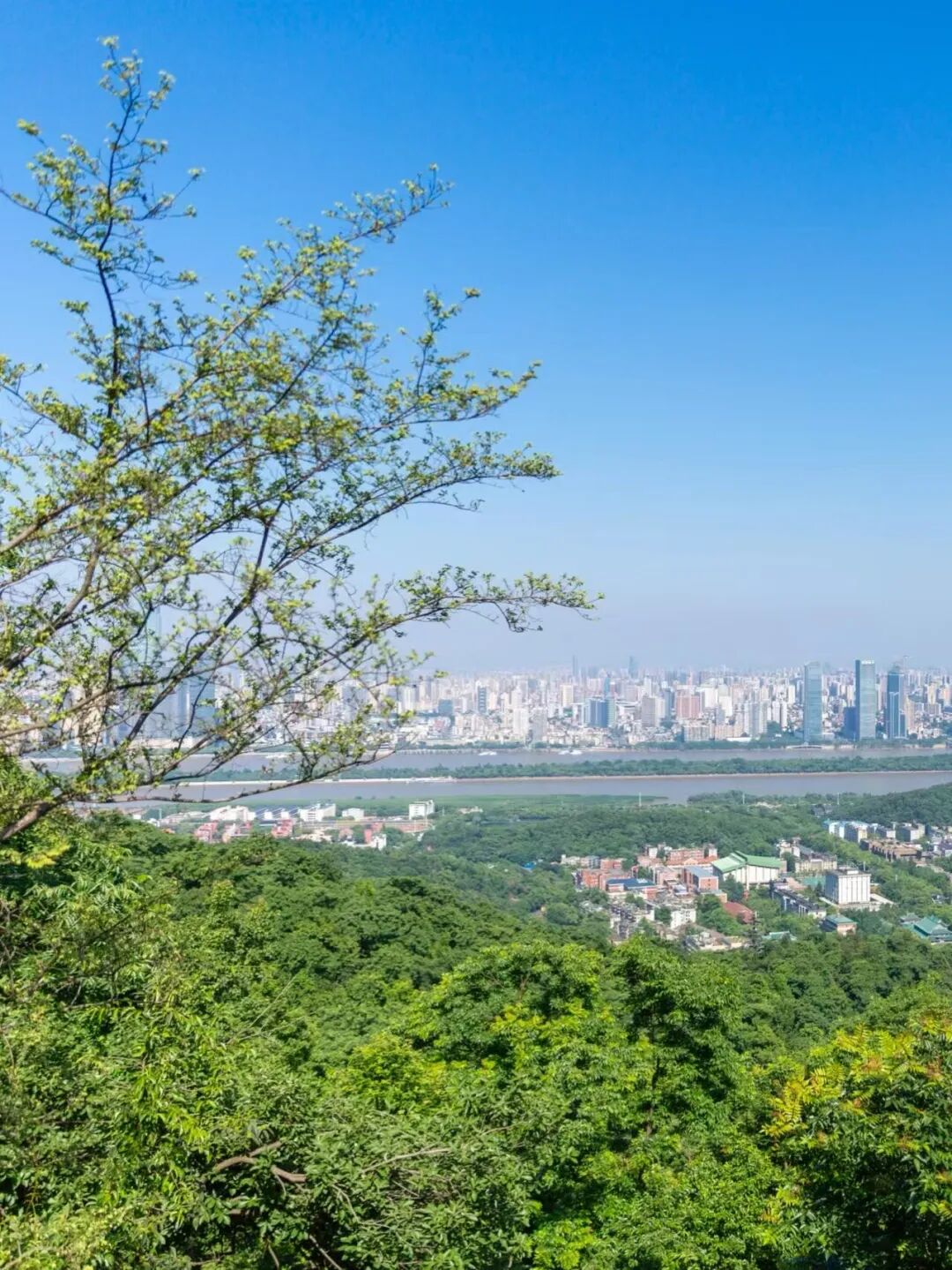 中国最快乐的城市，凌晨不睡觉，狂爱洗脚，房价垫底，工资5000活出50000的快乐