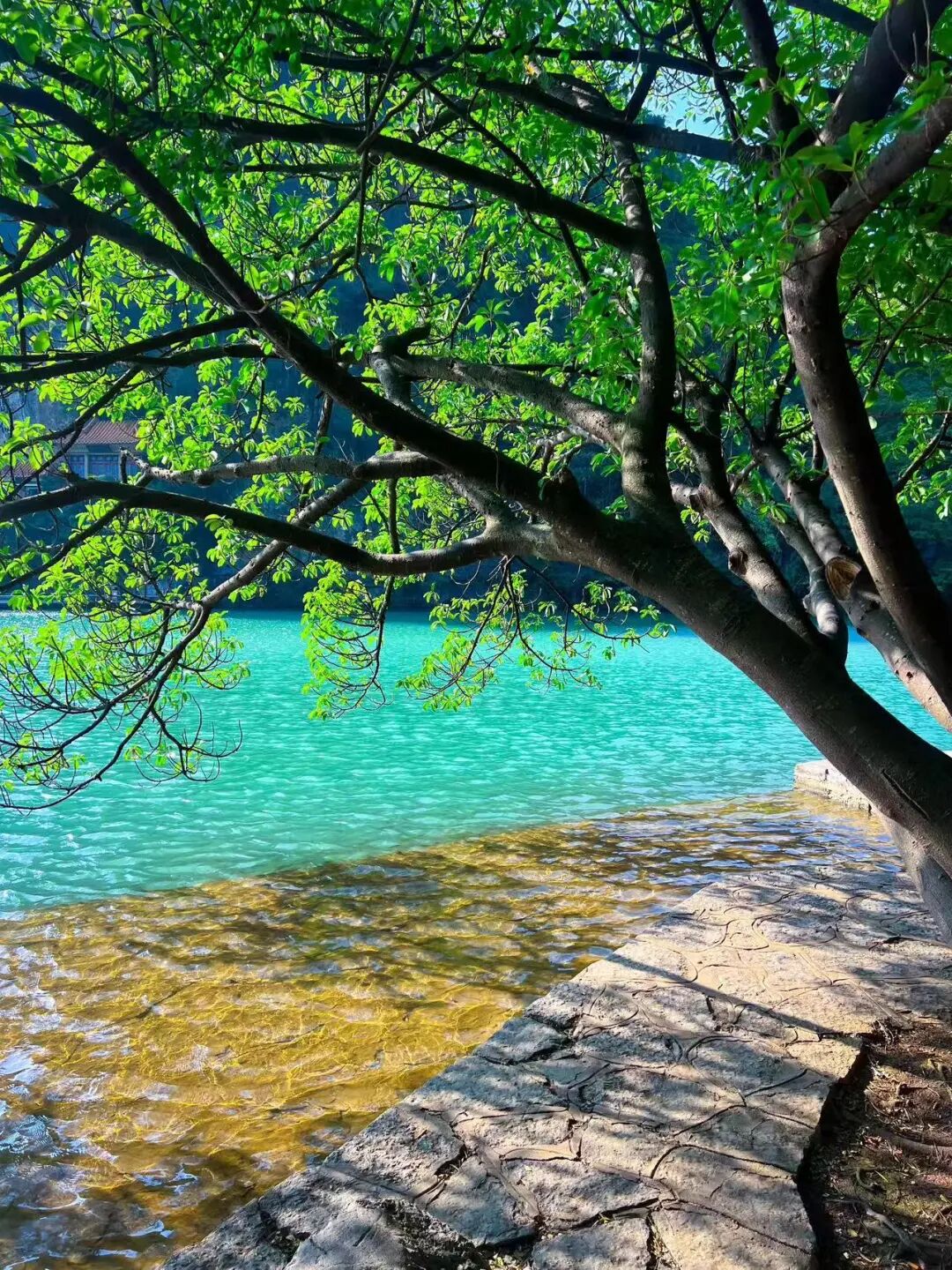 避开人潮，放弃攻略，这座中国最让人“上头”的网红城，竟意外闲适？！想再去800次！