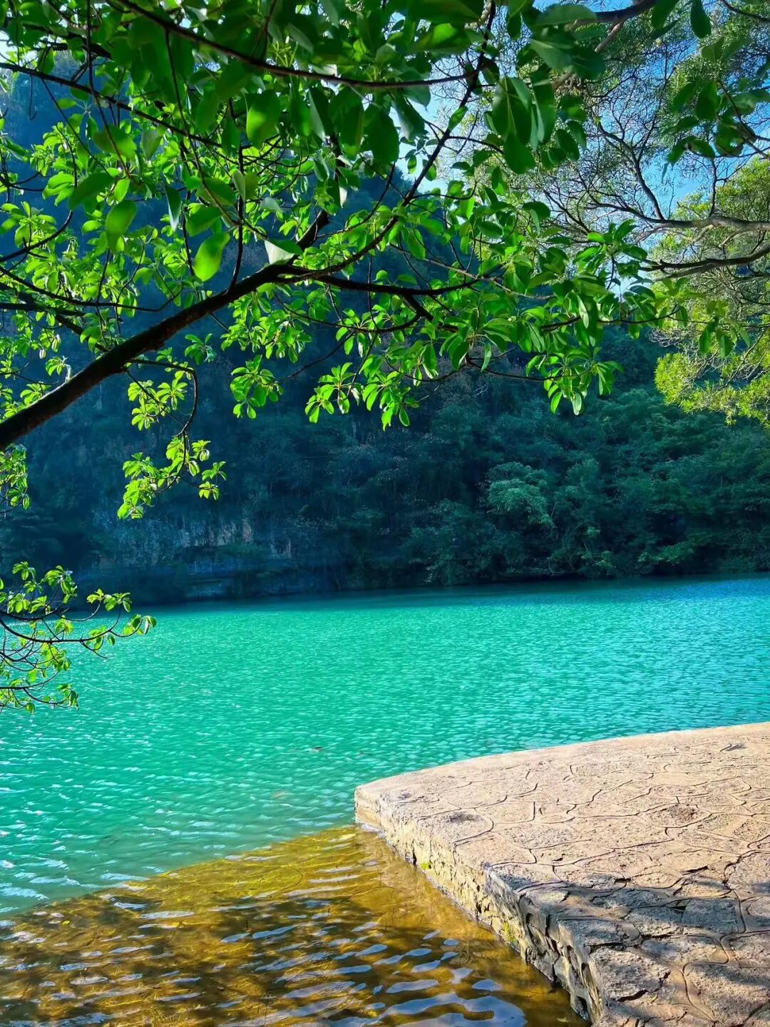 避开人潮，放弃攻略，这座中国最让人“上头”的网红城，竟意外闲适？！想再去800次！