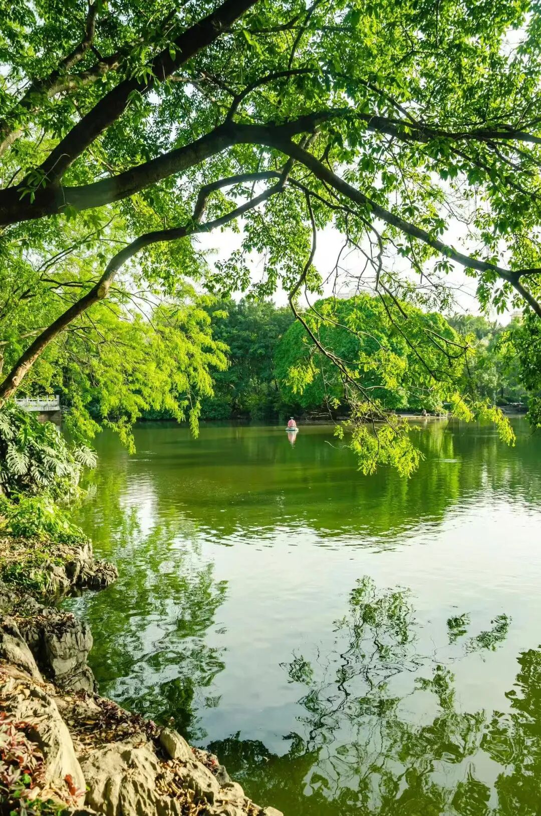 避开人潮，放弃攻略，这座中国最让人“上头”的网红城，竟意外闲适？！想再去800次！