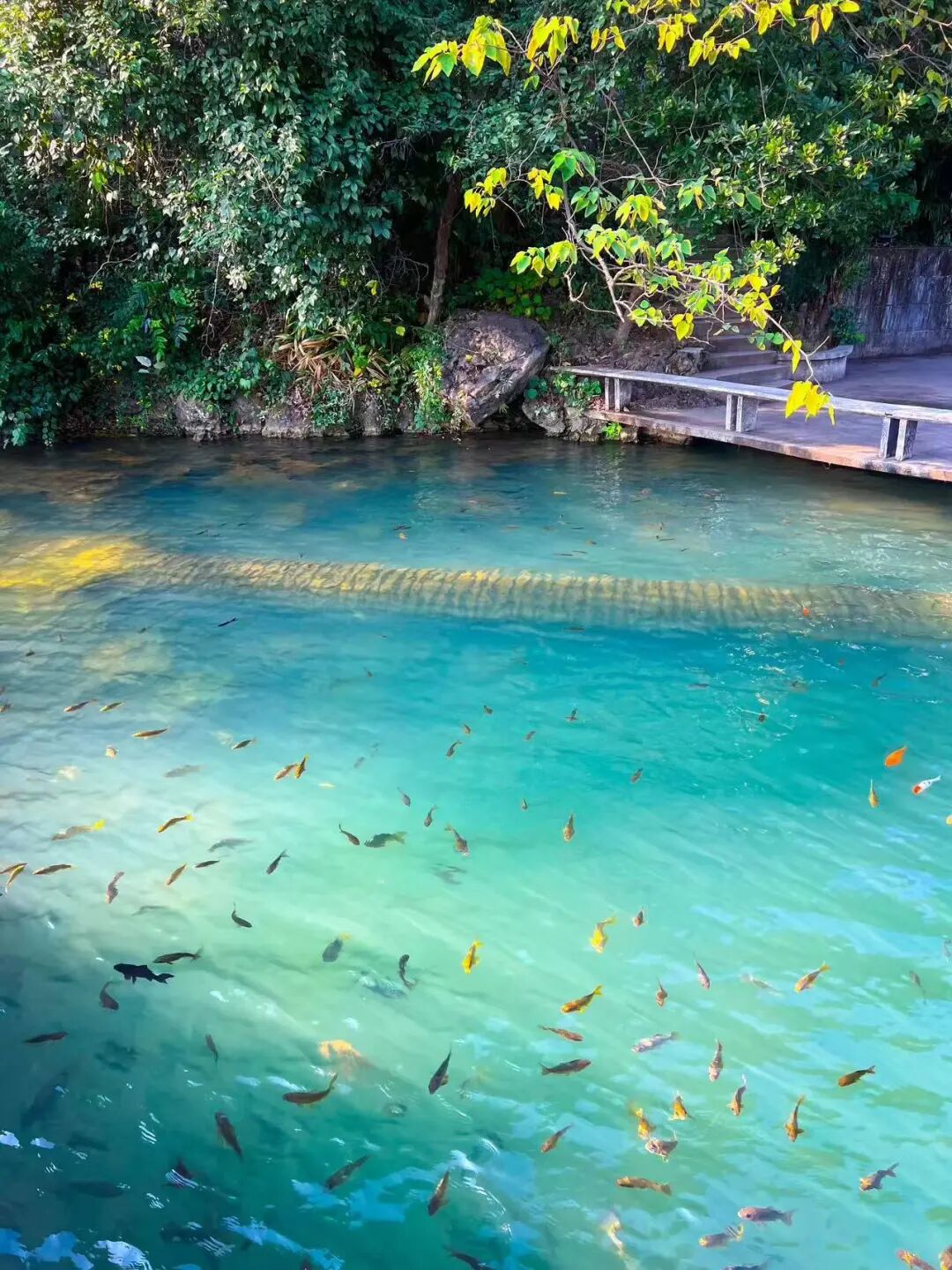 避开人潮，放弃攻略，这座中国最让人“上头”的网红城，竟意外闲适？！想再去800次！