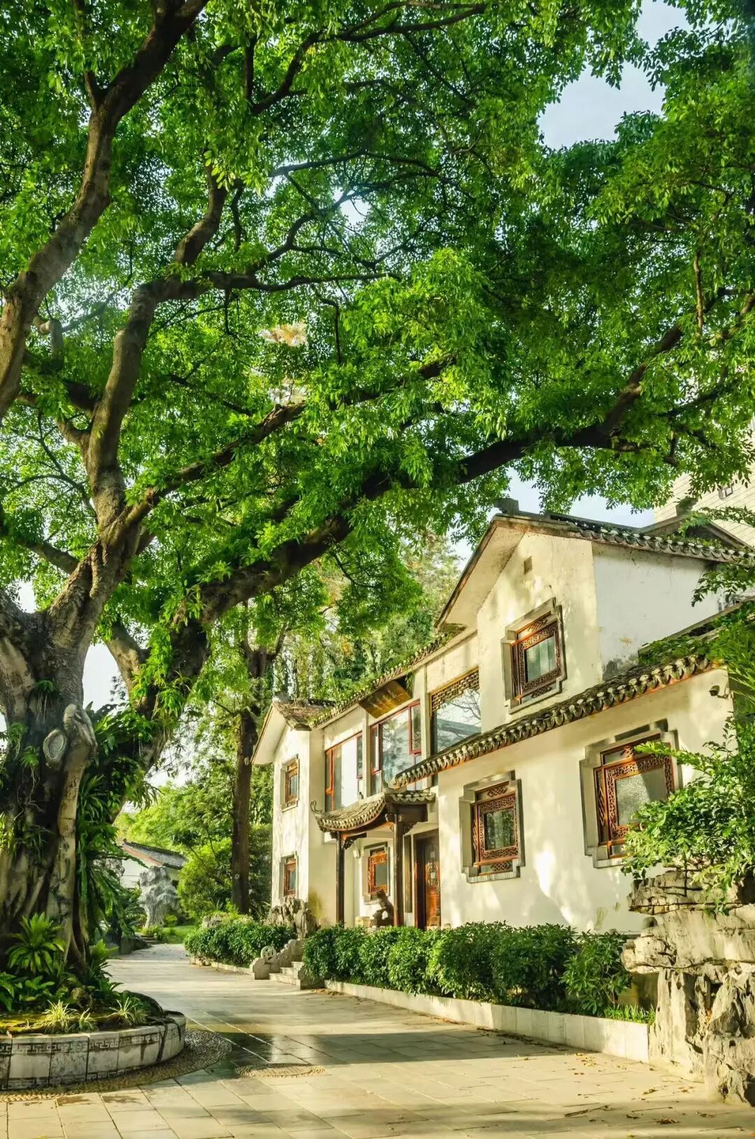 避开人潮，放弃攻略，这座中国最让人“上头”的网红城，竟意外闲适？！想再去800次！