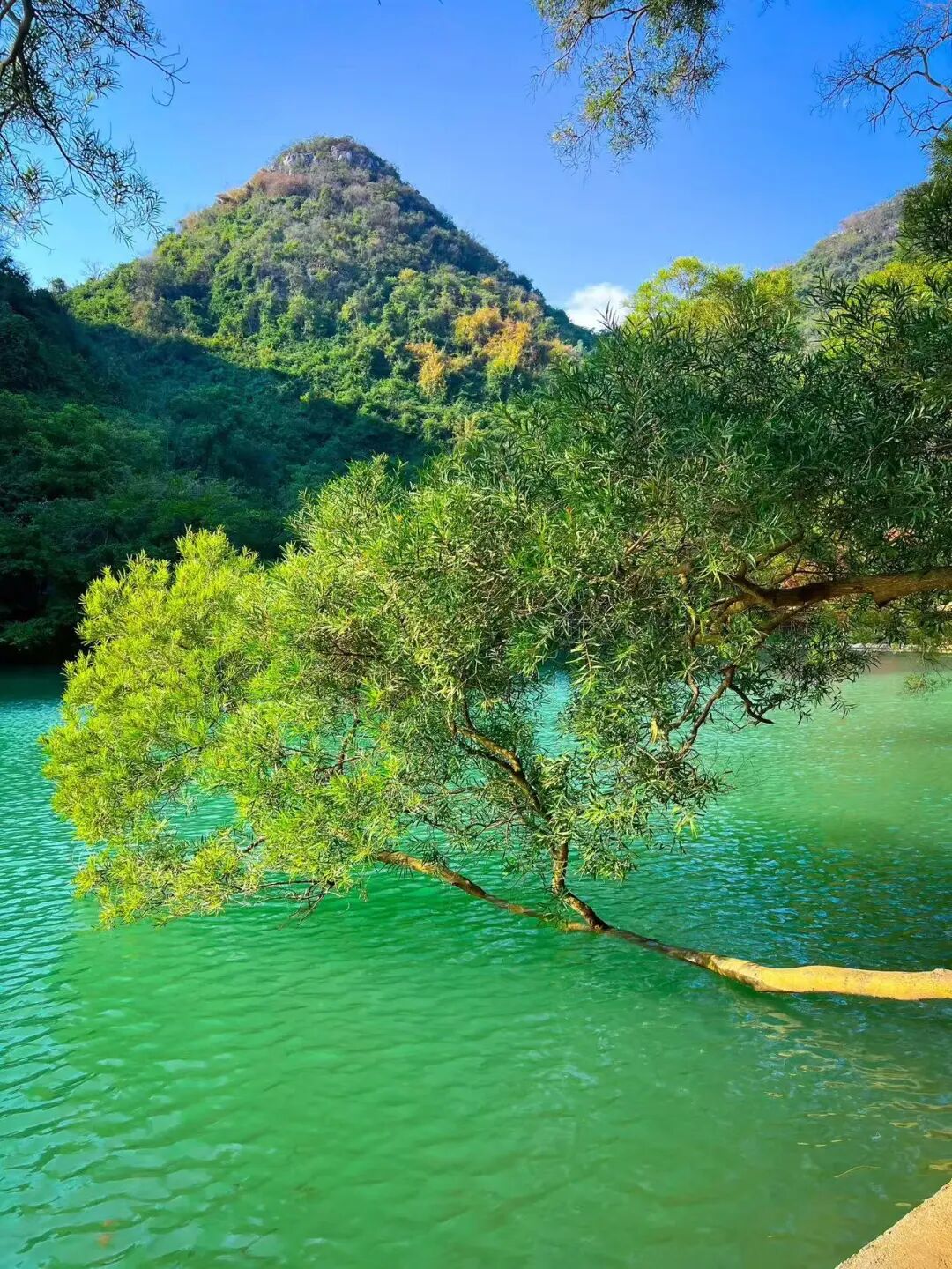 避开人潮，放弃攻略，这座中国最让人“上头”的网红城，竟意外闲适？！想再去800次！