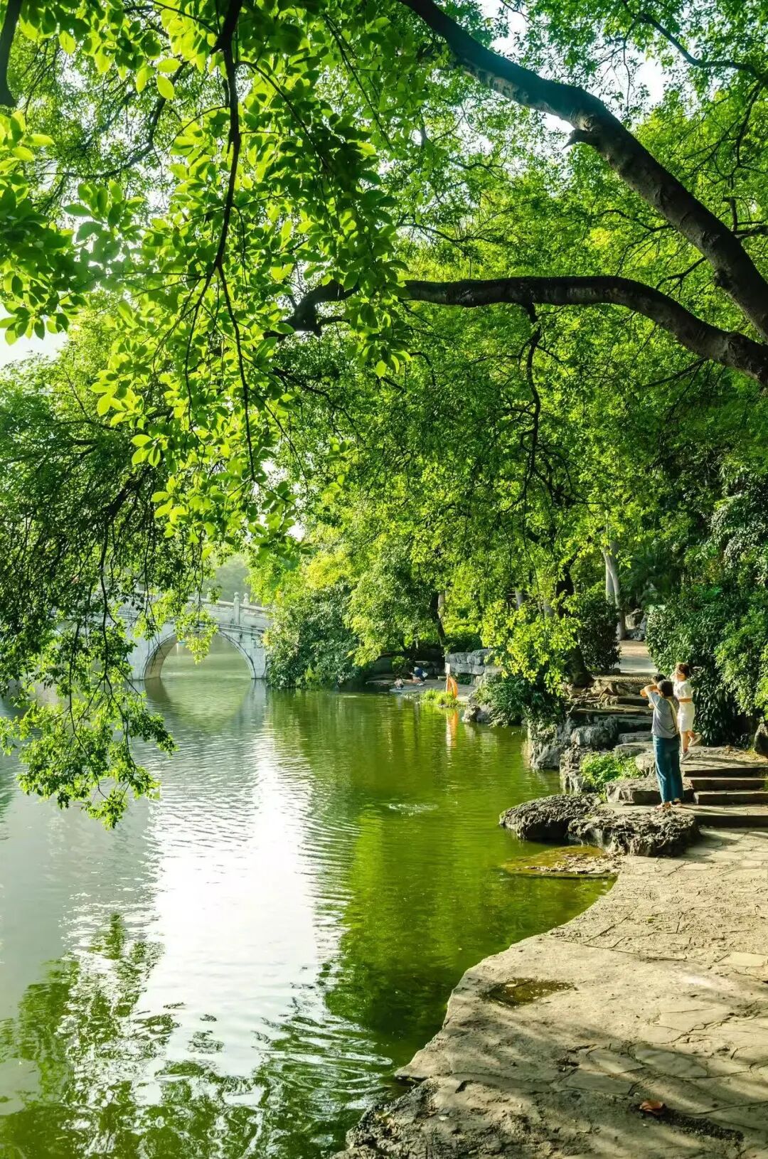 避开人潮，放弃攻略，这座中国最让人“上头”的网红城，竟意外闲适？！想再去800次！